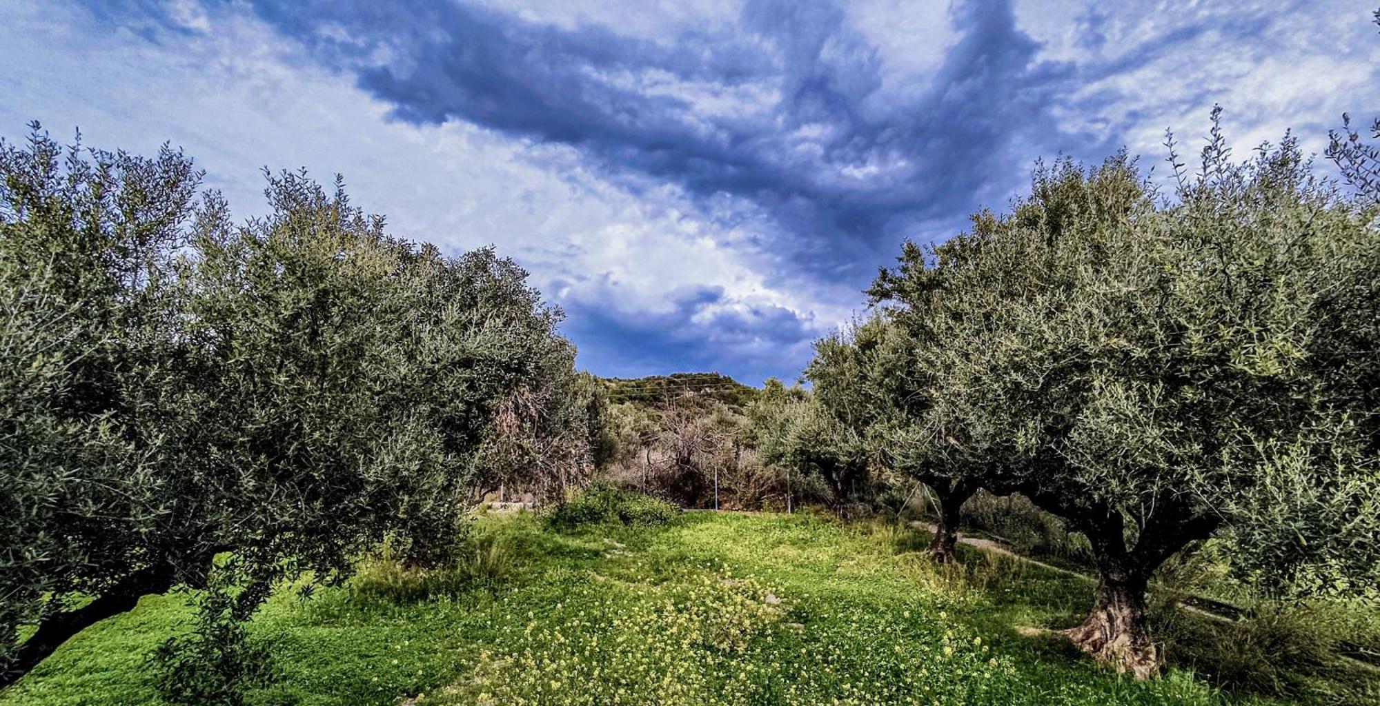 Your Spot West Peloponnese Shared Countryhouse Zacharo Extérieur photo