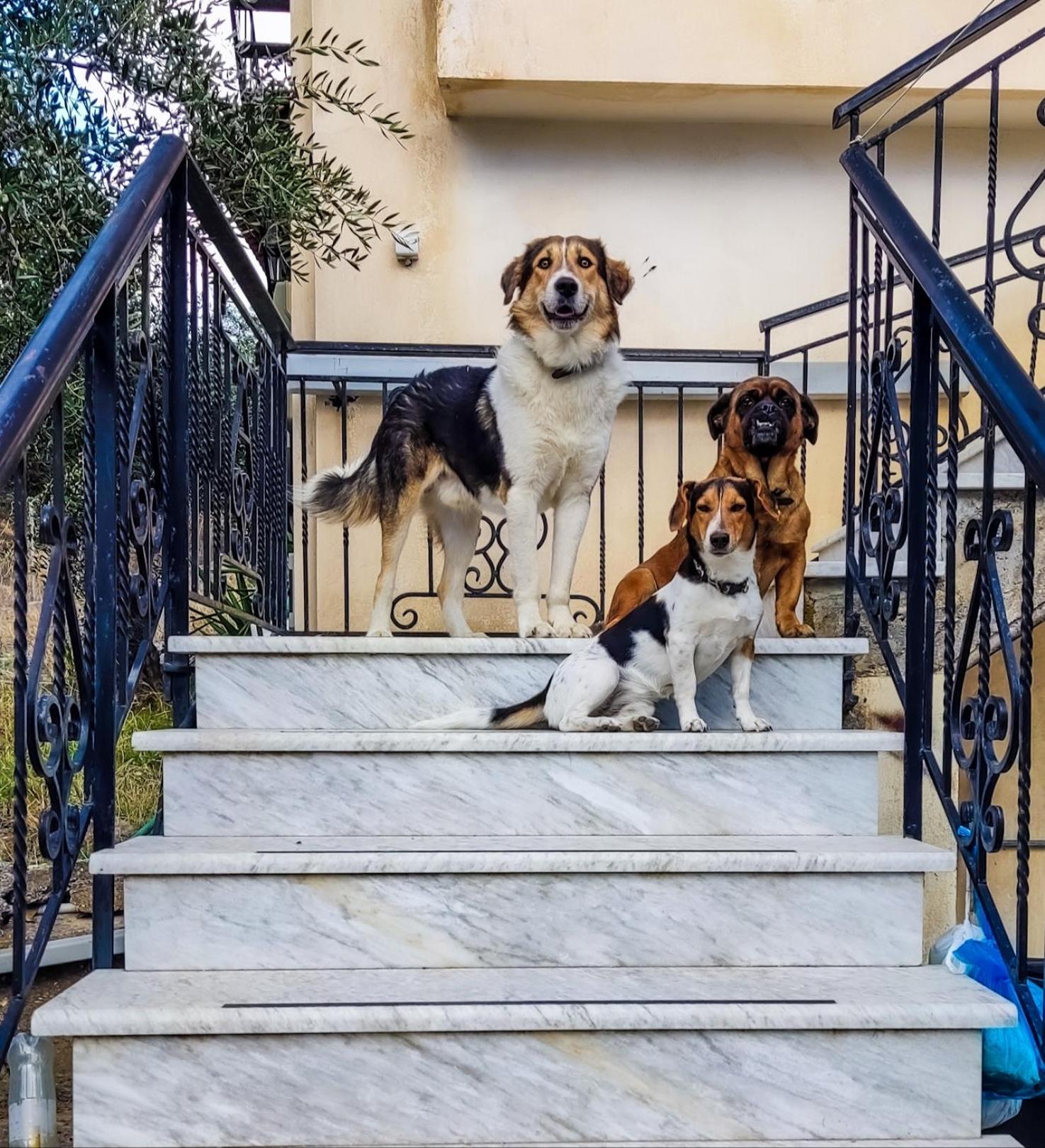 Your Spot West Peloponnese Shared Countryhouse Zacharo Extérieur photo